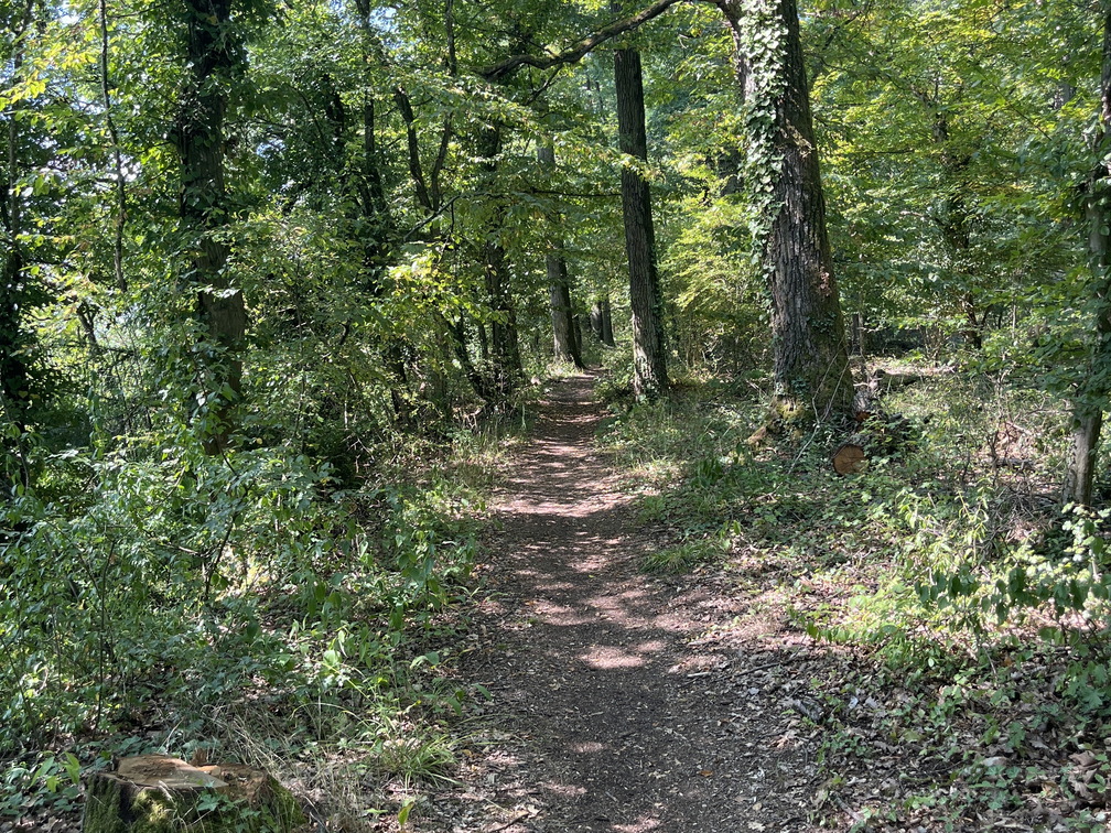 22-07-24 10-58-44 1695